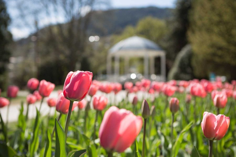 New-Zealand-Real-Estate-Mortgage New-Zealand-Real-Estate-Mortgage