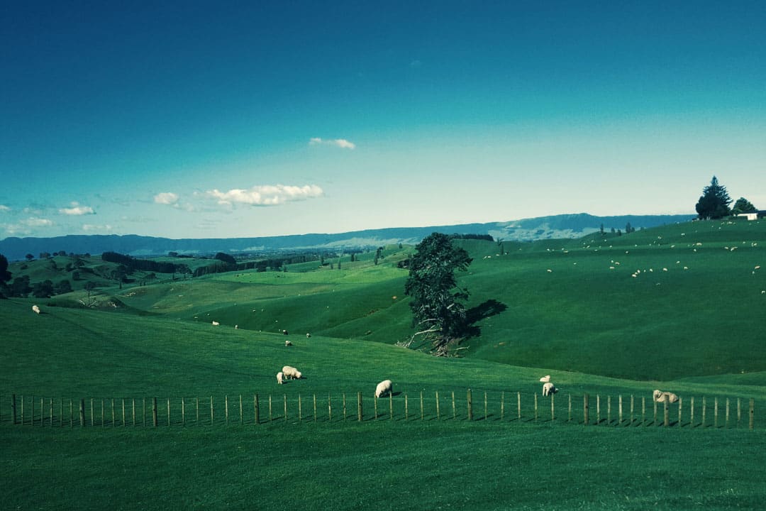 Buying Property in New Zealand for Foreigners