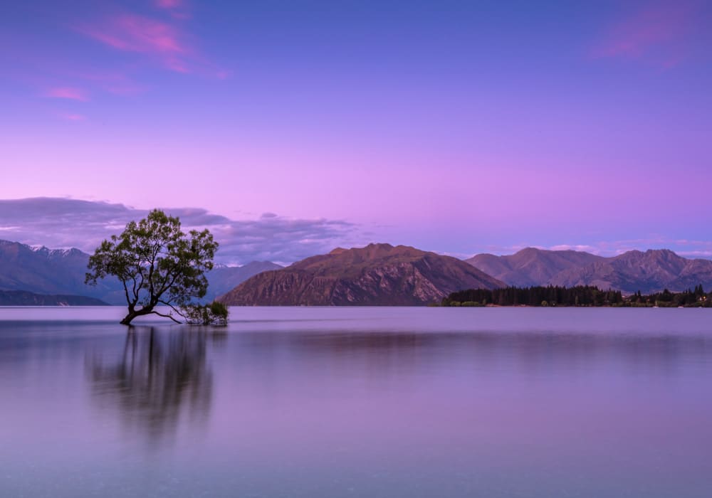 Wanaka Mortgage Broker