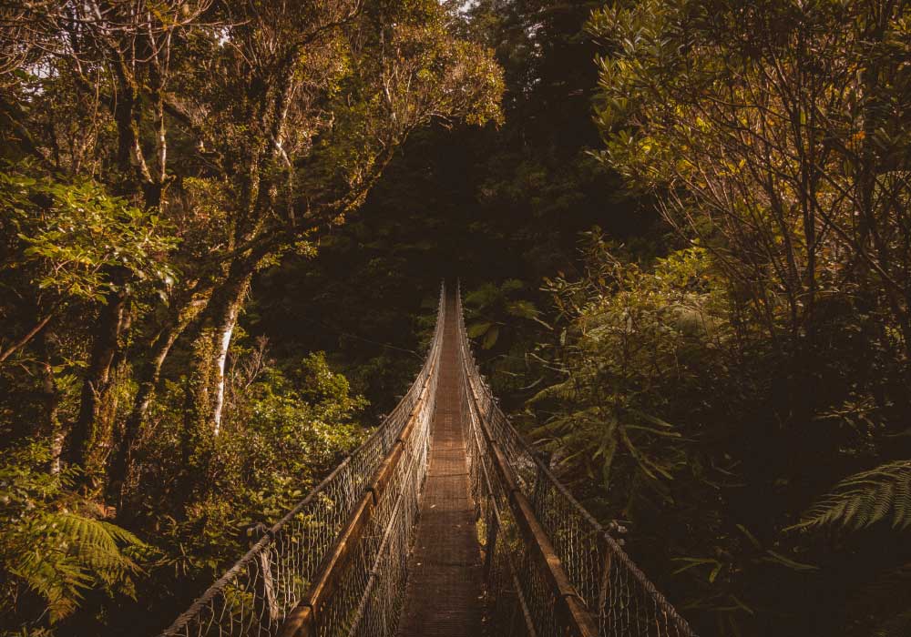 Are Mortgage Brokers or Banks Better?